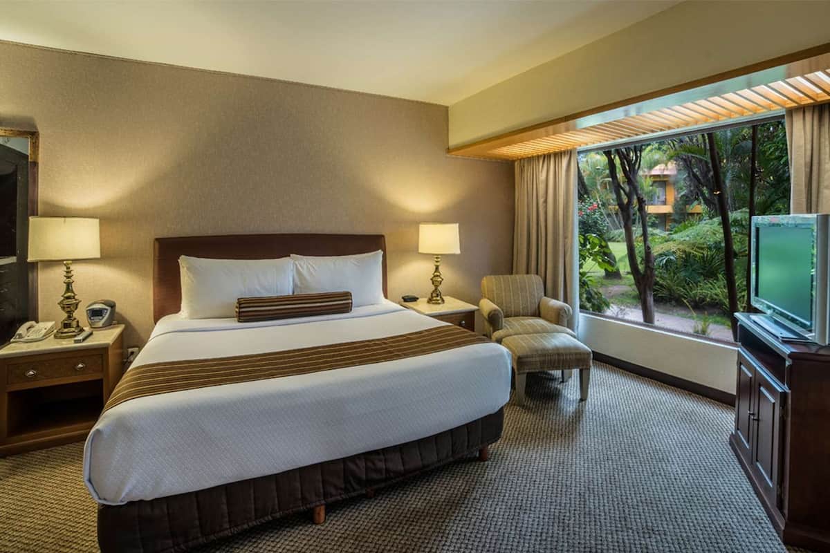 A hotel room with a large bed, a chair, a TV, and a window with a view of greenery.