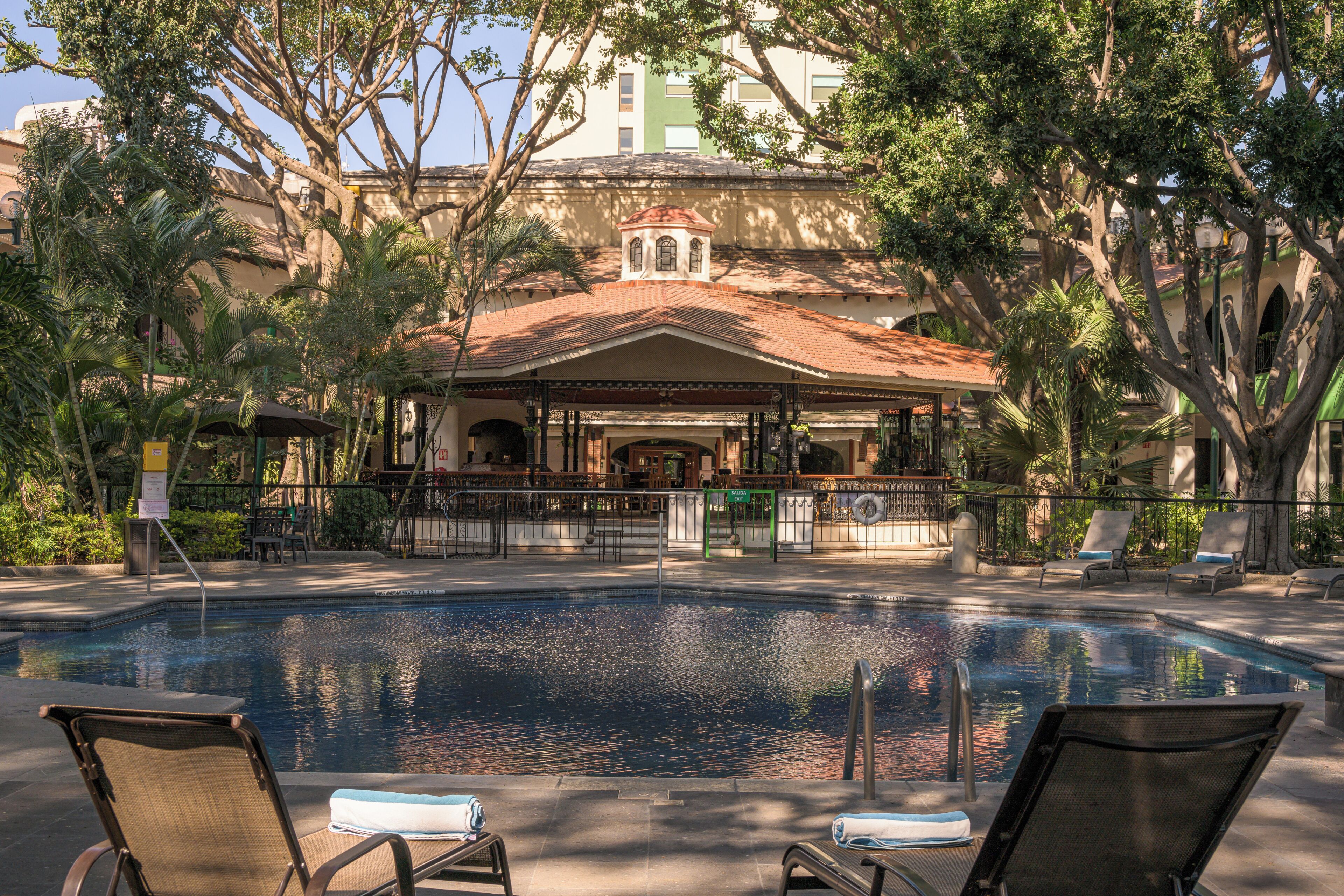 Una piscina al aire libre, sombrillas, sillones reclinables de piscina