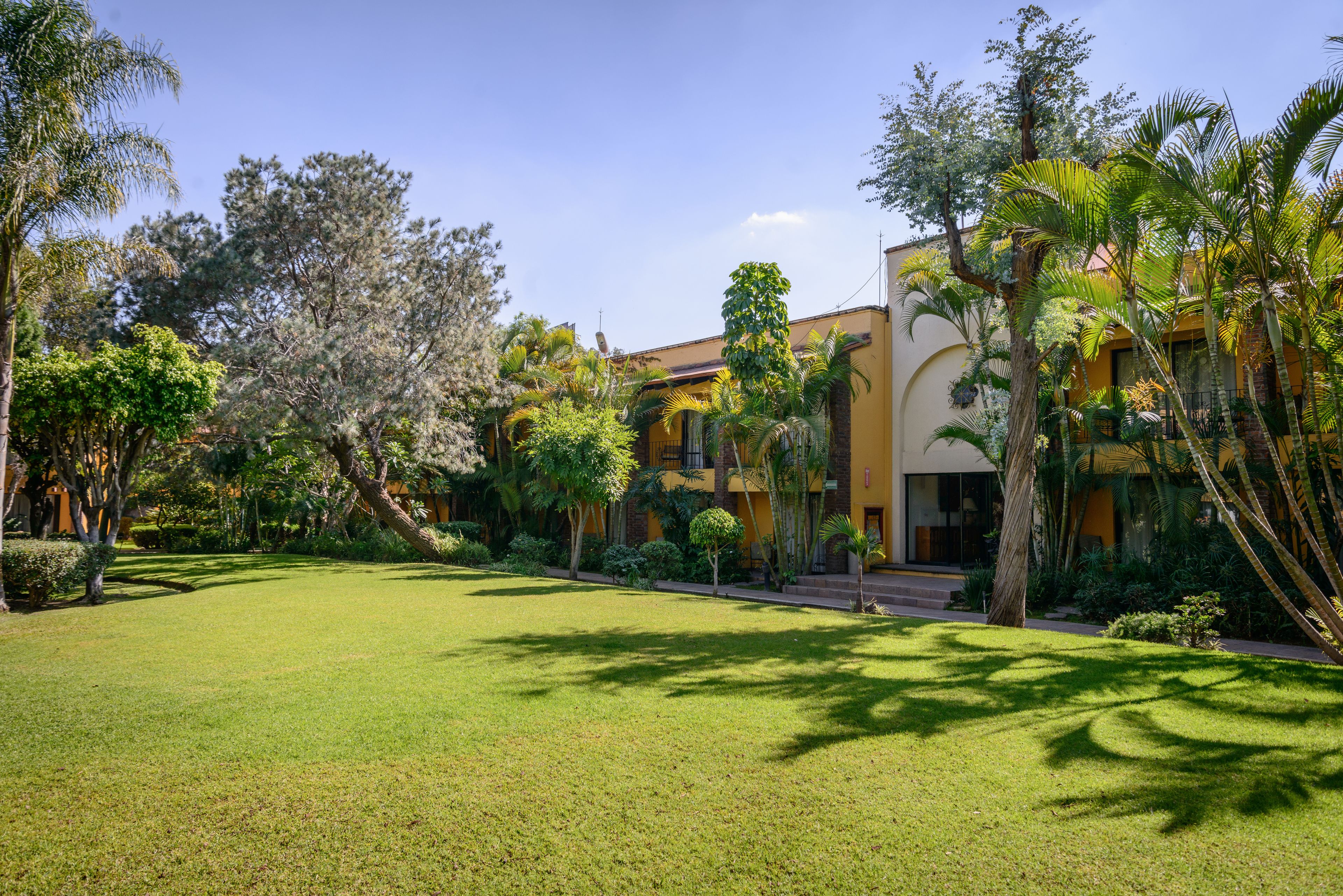 Foto - Wyndham Garden Guadalajara Expo Plaza del Sol