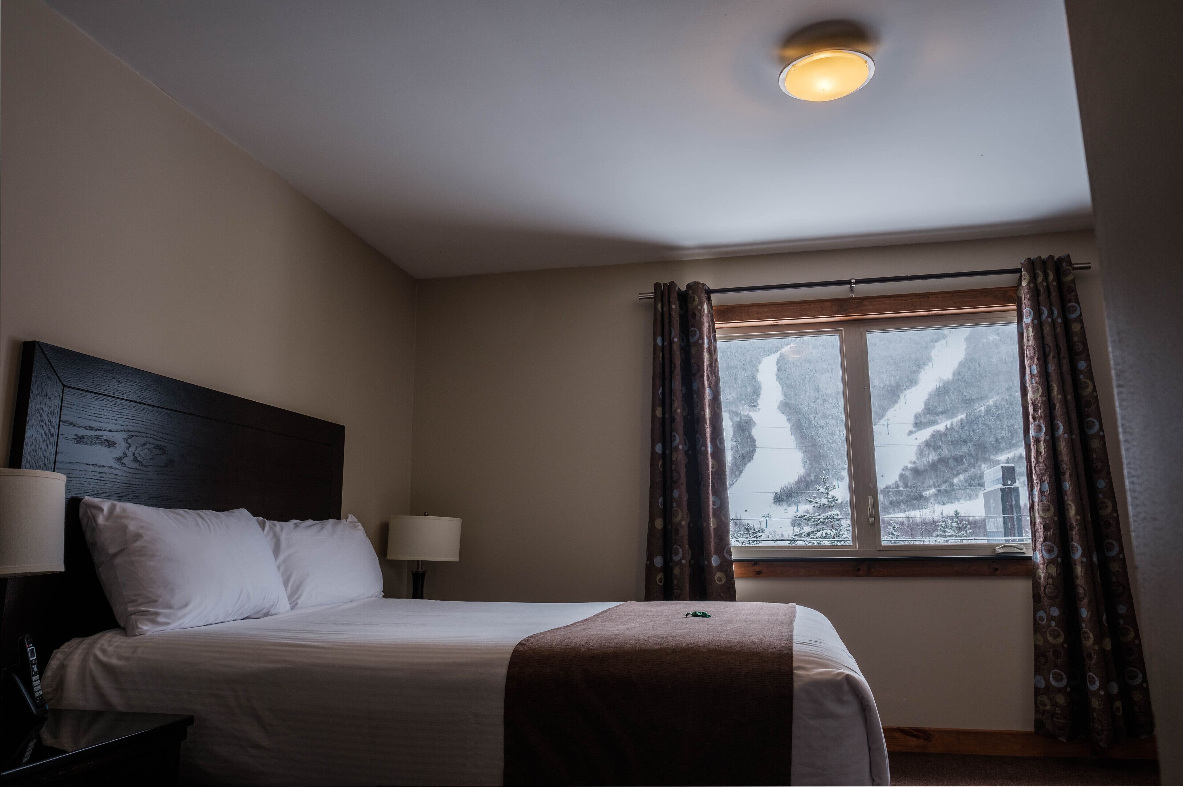 mountain view inn suite | 1 bedroom, premium bedding, laptop workspace, iron/ironing board