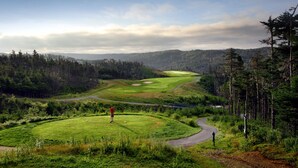 Un campo de golf con un sendero sinuoso, rodeado de bosques densos y un cielo despejado.