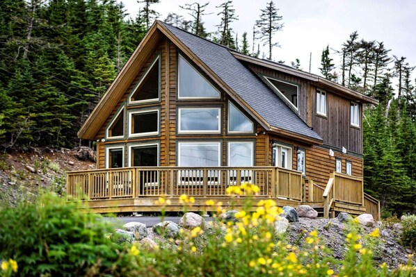 免费 WiFi、床单