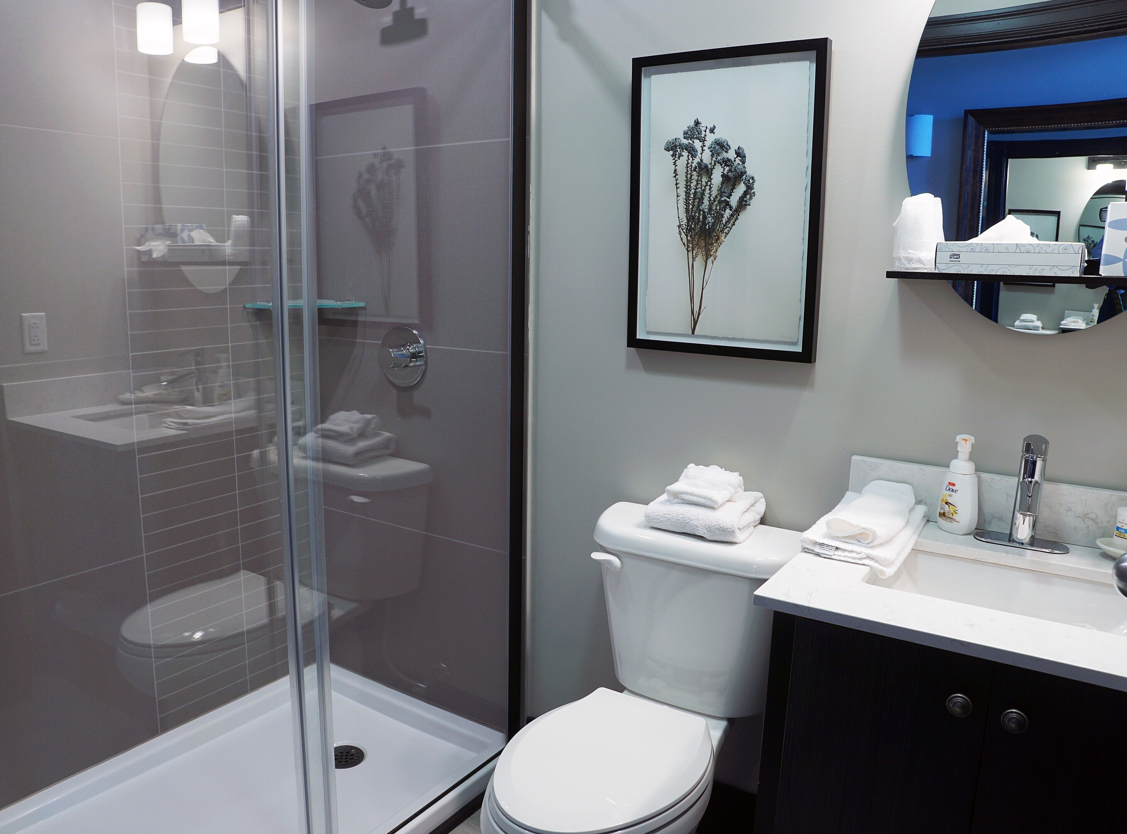 shower, free toiletries, hair dryer