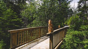 Un puente de madera con barandilla, rodeado de un bosque verde y denso.