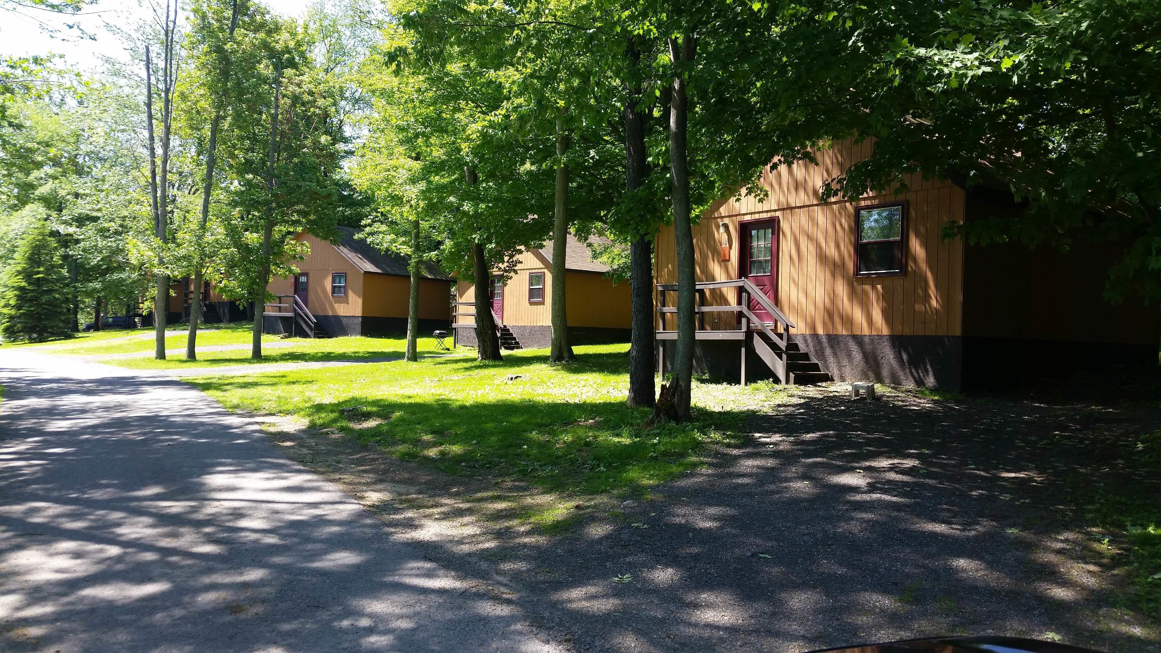 A row of cabins with a gravel path leading to them, surrounded by trees.