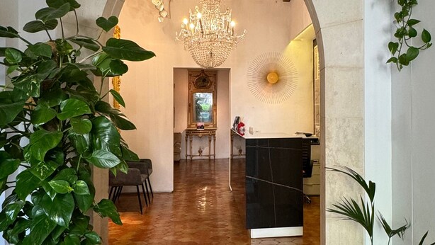 Una zona de recepción con alfombra roja, candelabro y plantas en macetas.