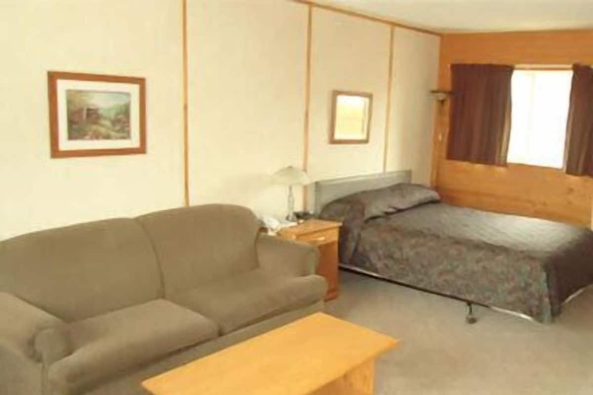A room with a sofa, a bed, a nightstand, and a small table.