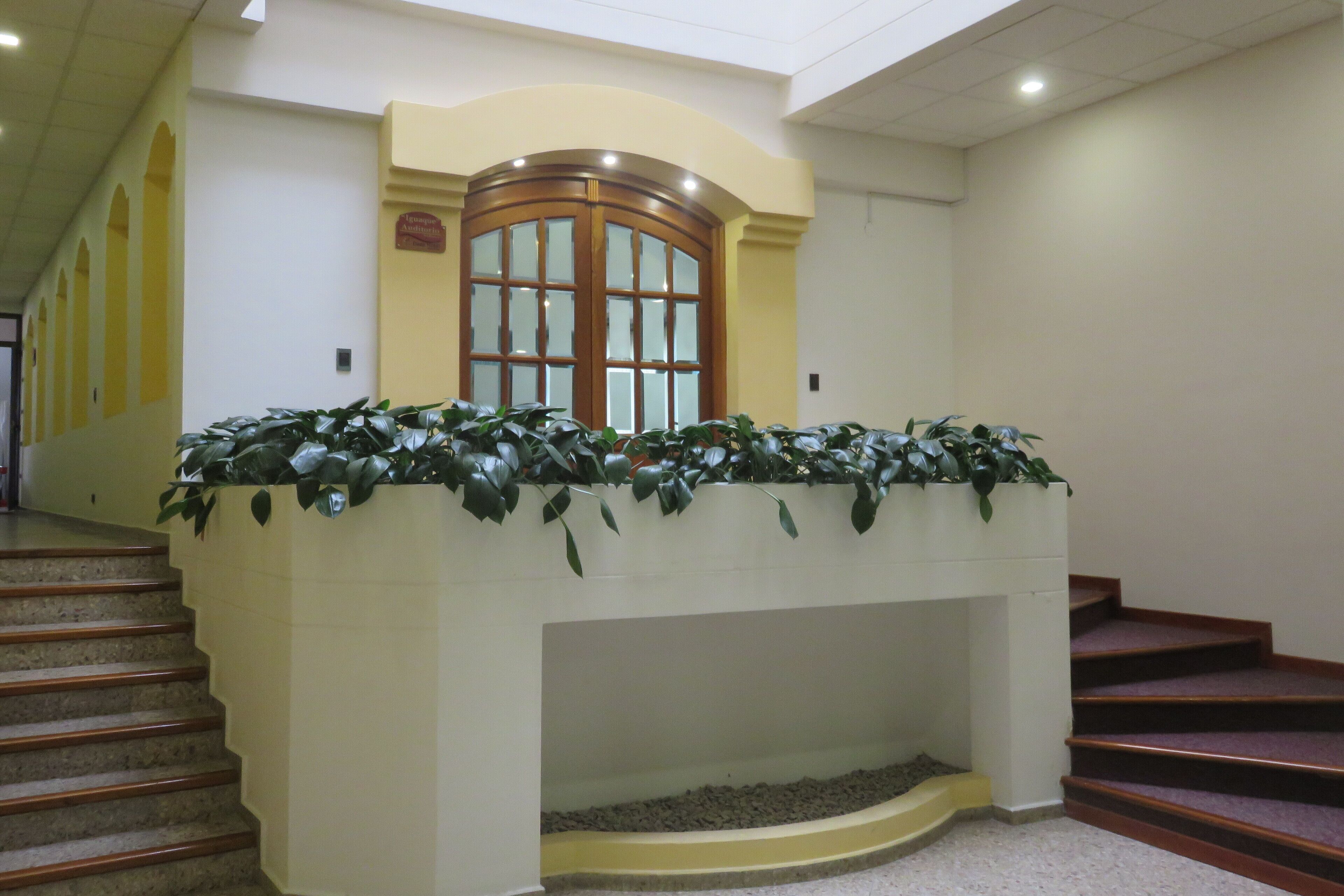Una escalera con una jardinera en la parte superior, que contiene plantas verdes.