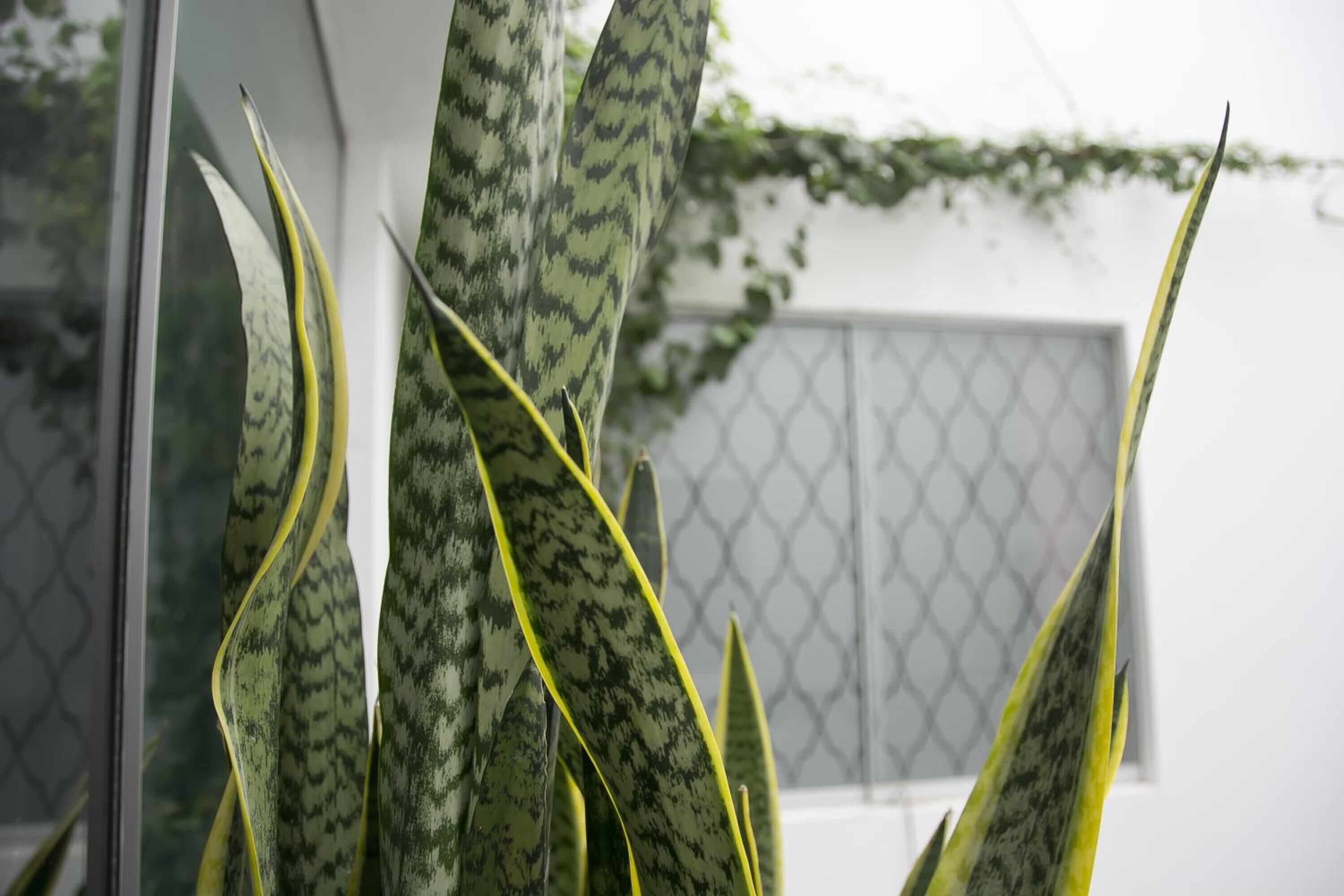 Foto - Arvo Hotel Boutique