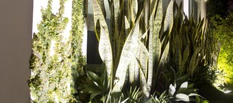Arvo Hotel Boutique