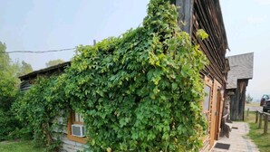Uma casa de madeira rústica parcialmente coberta por hera verde.