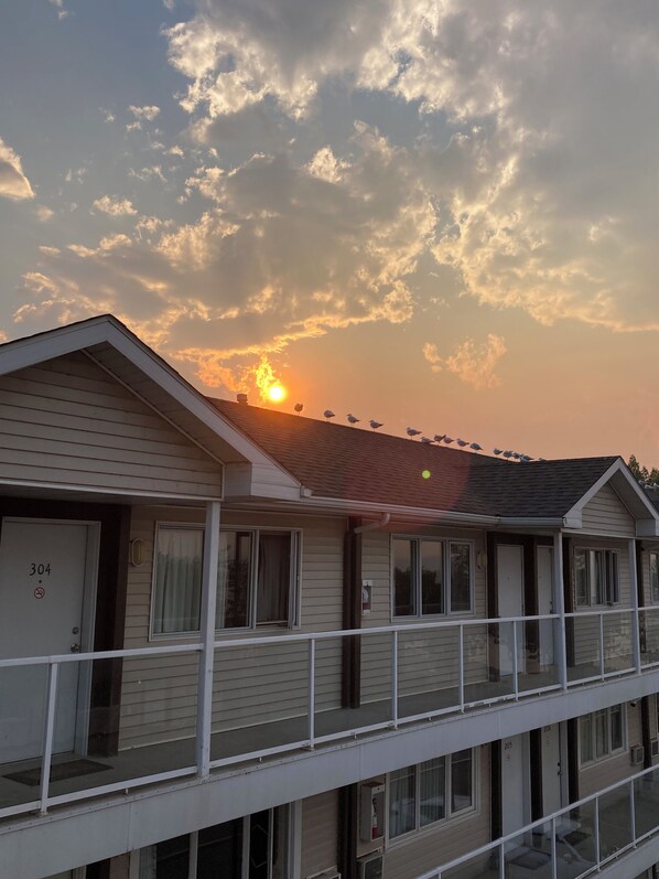 Exterior - Raccoon Lodge (Sylvan Lake)