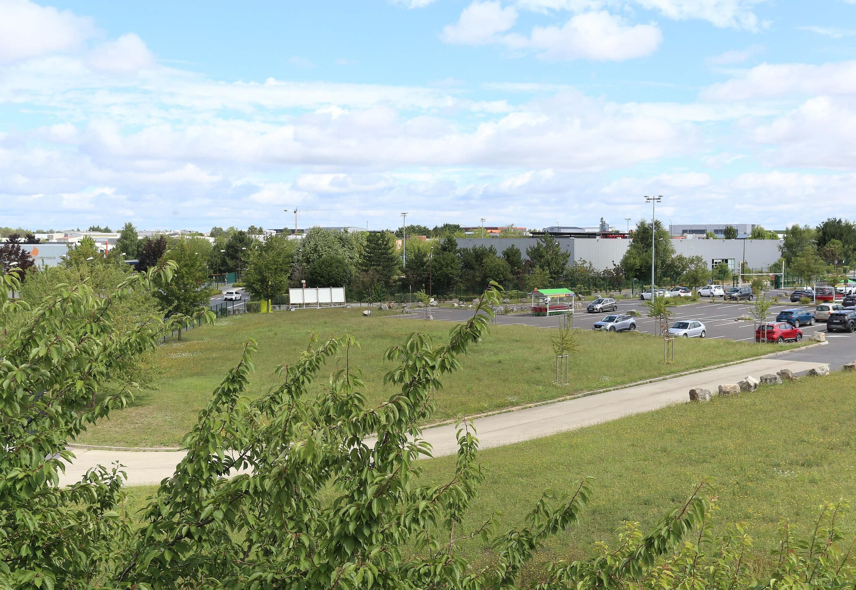 A parking lot with cars, a grassy area, and buildings in the background.