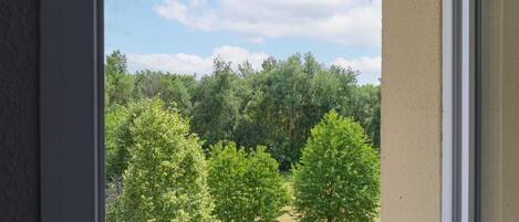 A view from a window overlooking a grassy area with several trees.