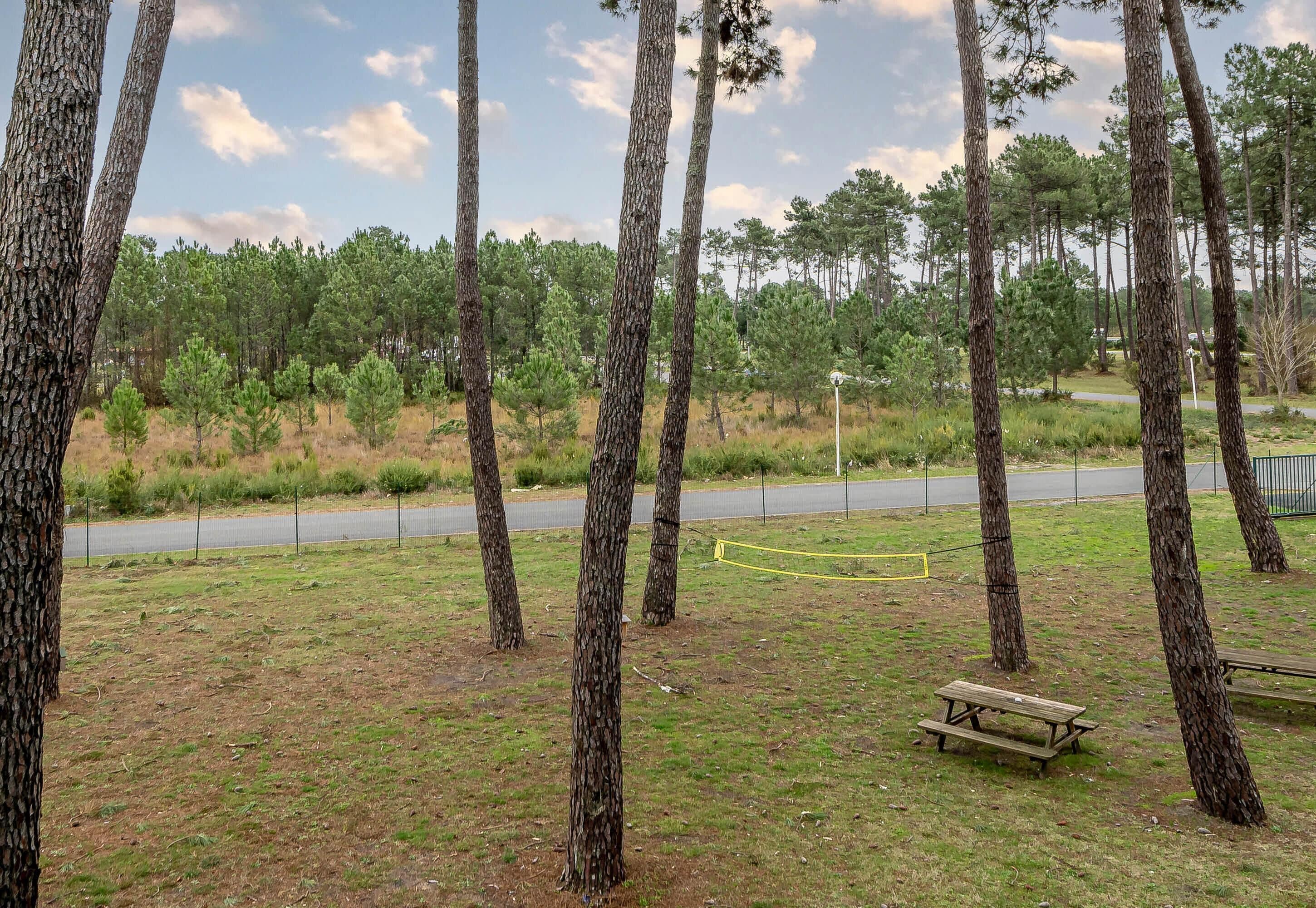 Un parco con alberi alti, un tavolo da picnic e una strada sullo sfondo.