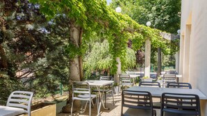 An outdoor patio with tables and chairs, surrounded by greenery and trees.
