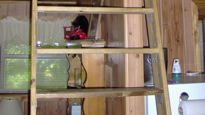 Cabin, Multiple Beds (Lumberjack Cabin) - Berry Creek LLC (Bogalusa)