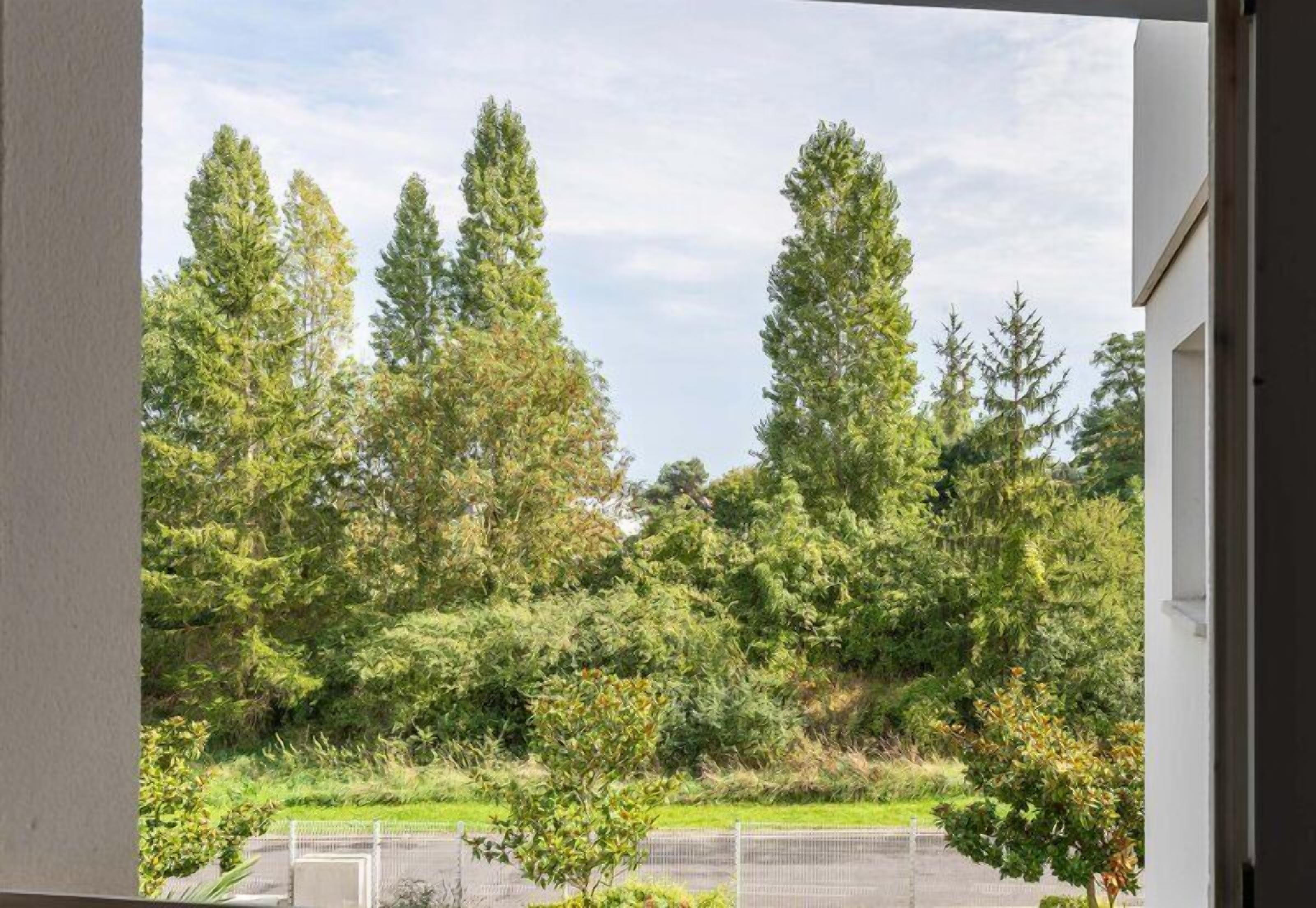 Vista da janela de um edifício com jardim, árvores e cerca.