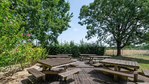 Een houten terras met picknicktafels, omringd door bomen en struiken.
