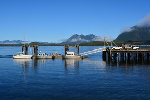 View from room - Fred Tibbs Ocean Front Condos (Tofino)