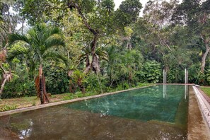 Una piscina rectangular rodeada de densa vegetación tropical.