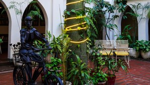 Ein Innenhof mit einer Statue eines Mannes auf einem Fahrrad, umgeben von Blumentöpfen und einer Bank.