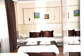 Habitación estándar | Vistas desde la habitación