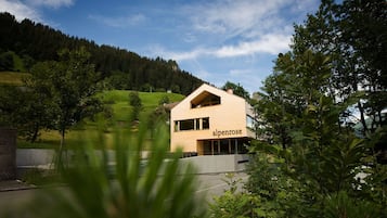 Ulkopuoli