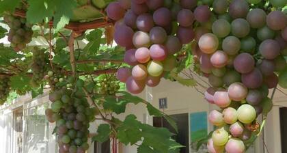 Gästehaus Huber - original Sixties Hostel