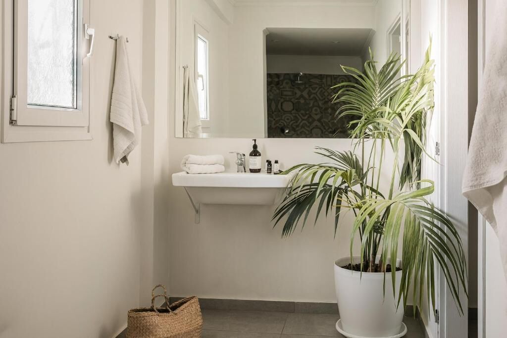 Un baño con lavamanos blanco, un espejo, una planta en maceta y una cesta en el suelo.