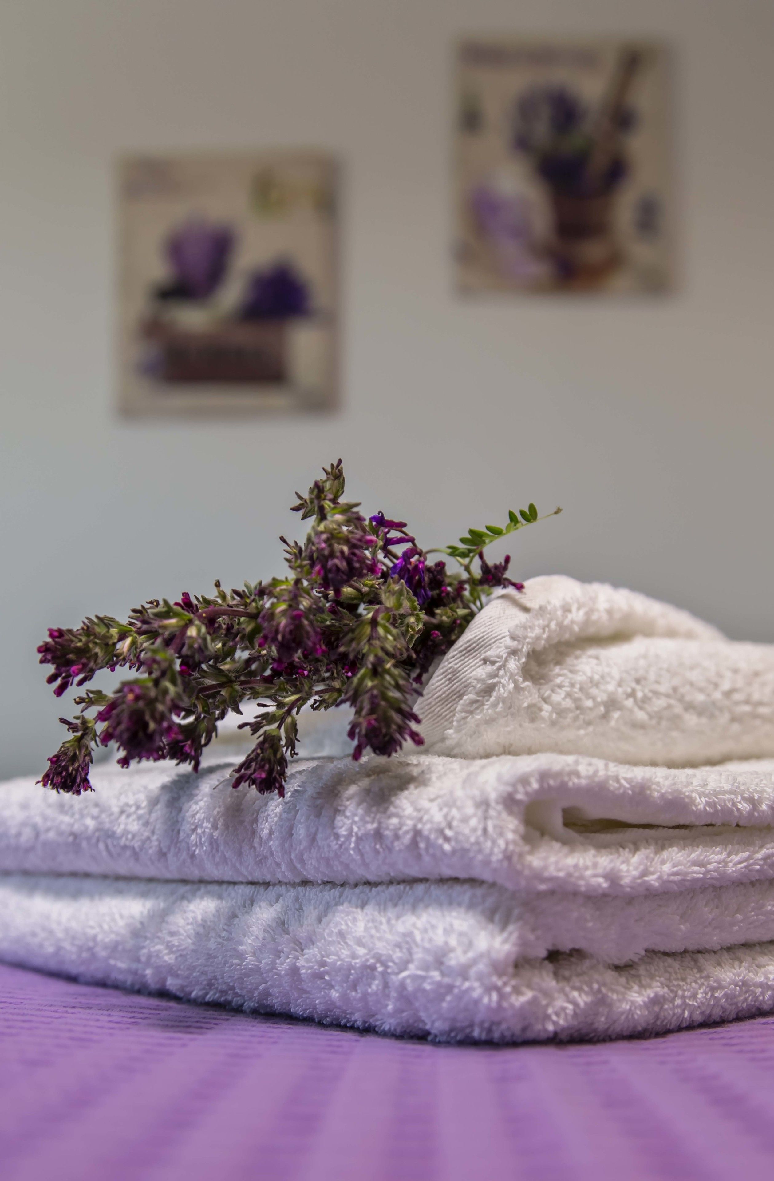 A stack of white towels on a purple surface with a purple flower in the foreground.