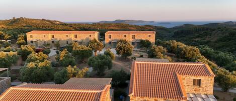 A stone building with a tiled roof, surrounded by olive trees and hills in the background.