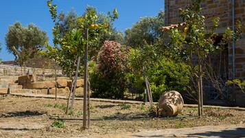 A garden with various plants and a stone wall in the background.