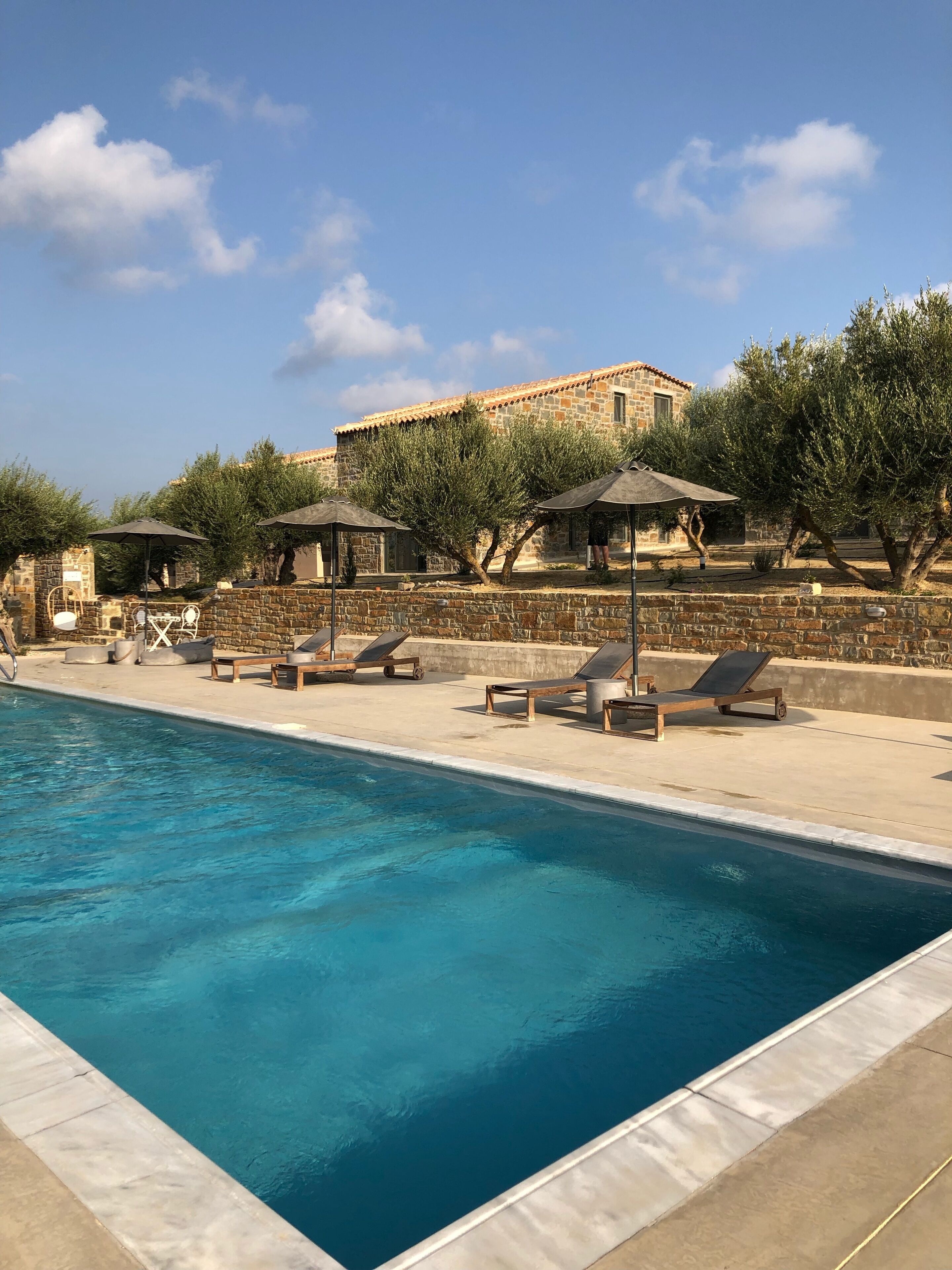 A swimming pool with lounge chairs and umbrellas, surrounded by stone walls and olive trees.