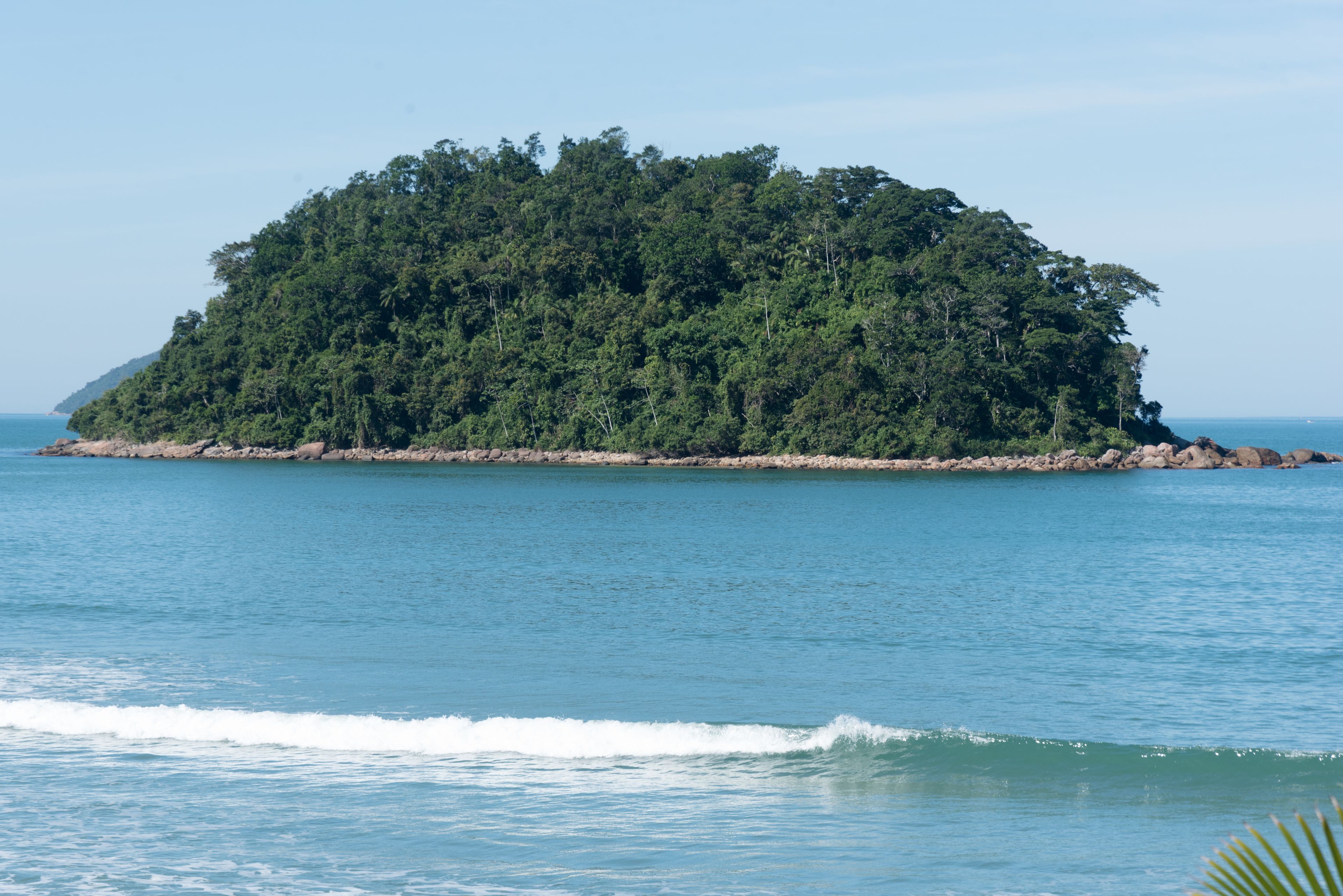 Una pequeña isla boscosa rodeada de aguas tranquilas.