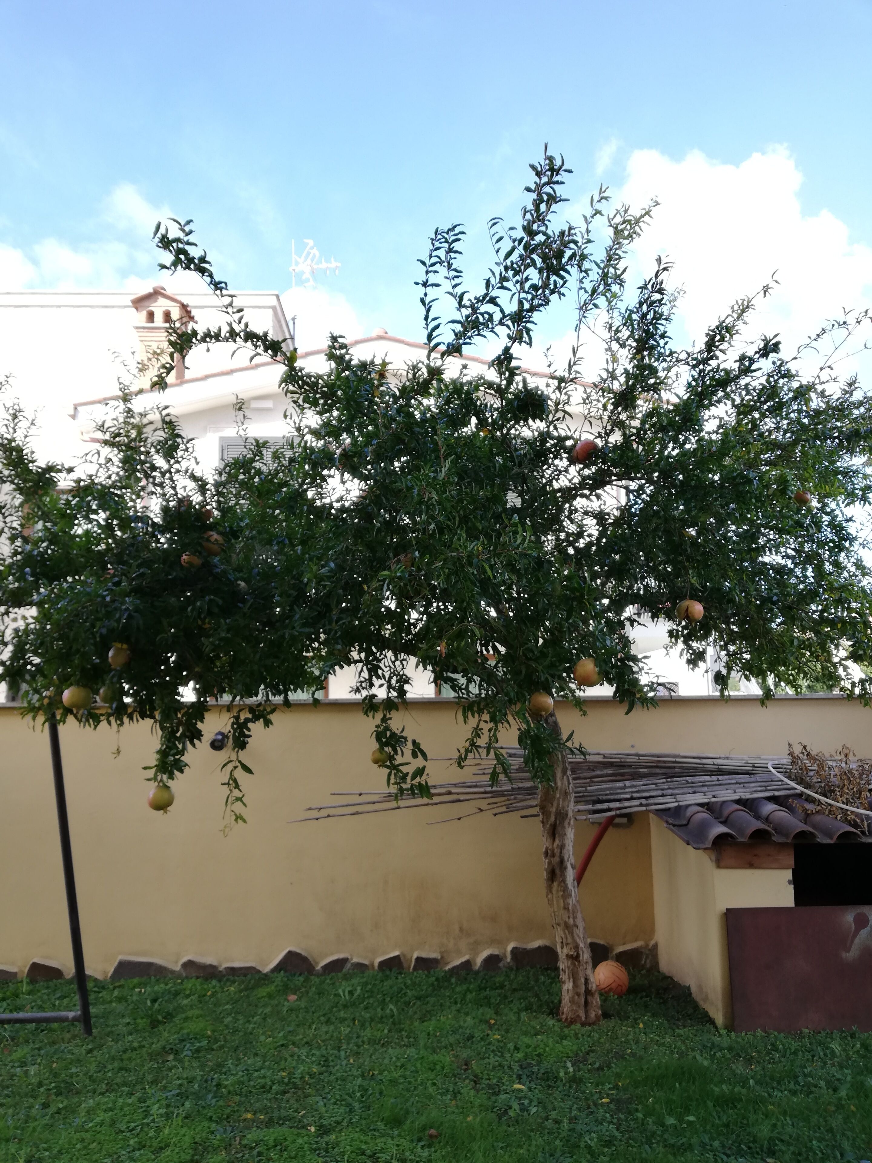 Photo - The Yellow House