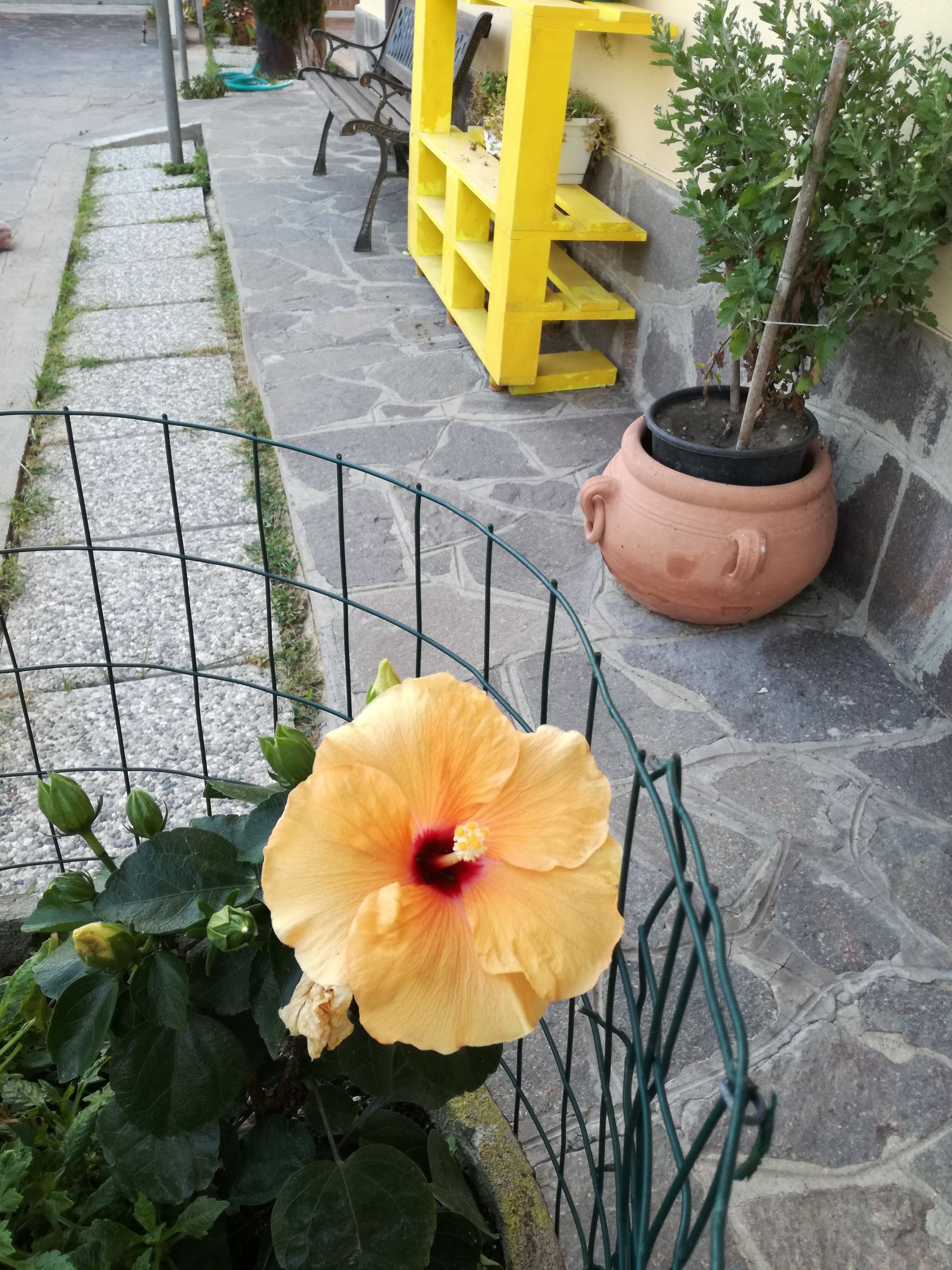 Photo - The Yellow House