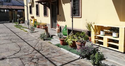 The Yellow House