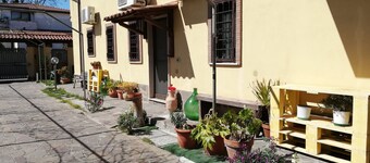 The Yellow House