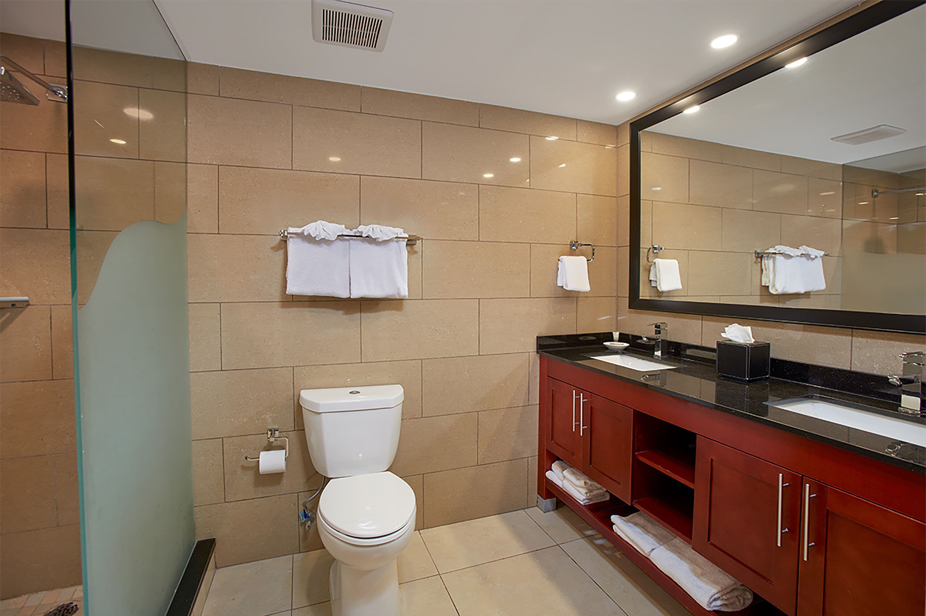 A modern bathroom with a glass shower enclosure, a white toilet, a vanity with a black countertop, and a large mirror.