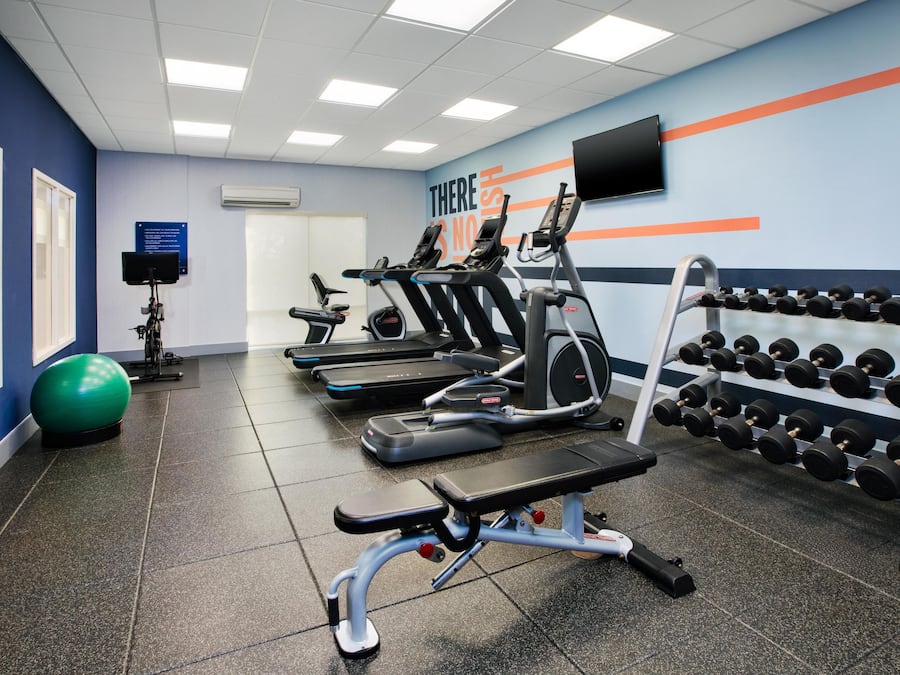 A gym with treadmills, elliptical machines, a bench press, and a rack of dumbbells.