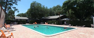 A rectangular pool with multiple lanes, surrounded by lounge chairs and umbrellas.