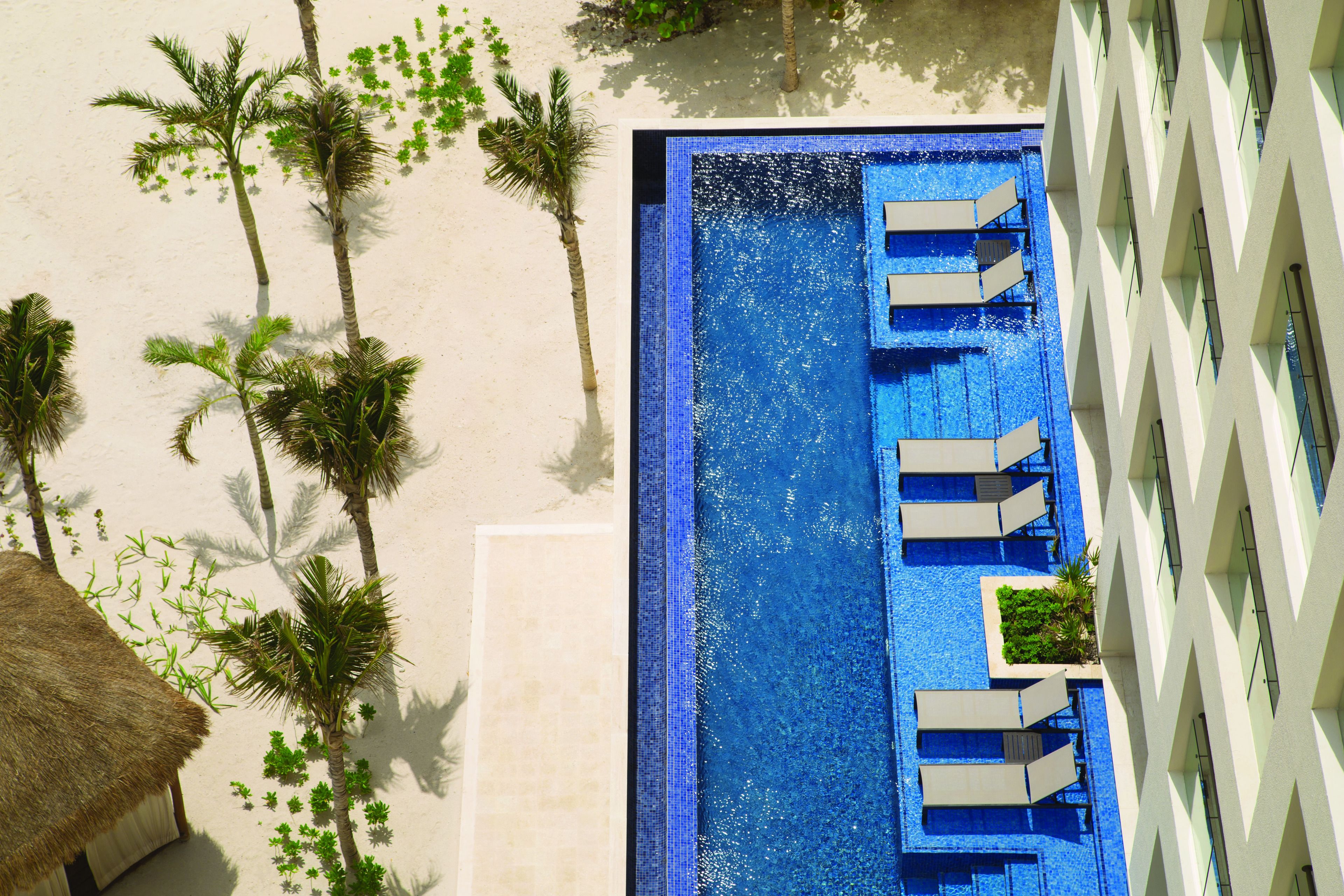 Vista aérea de uma piscina com espreguiçadeiras, palmeiras e um bangalô com telhado de palha.