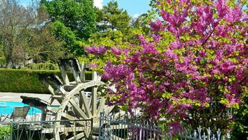 Un giardino con una grande ruota idraulica in legno, una recinzione metallica e fiori rosa in fiore.