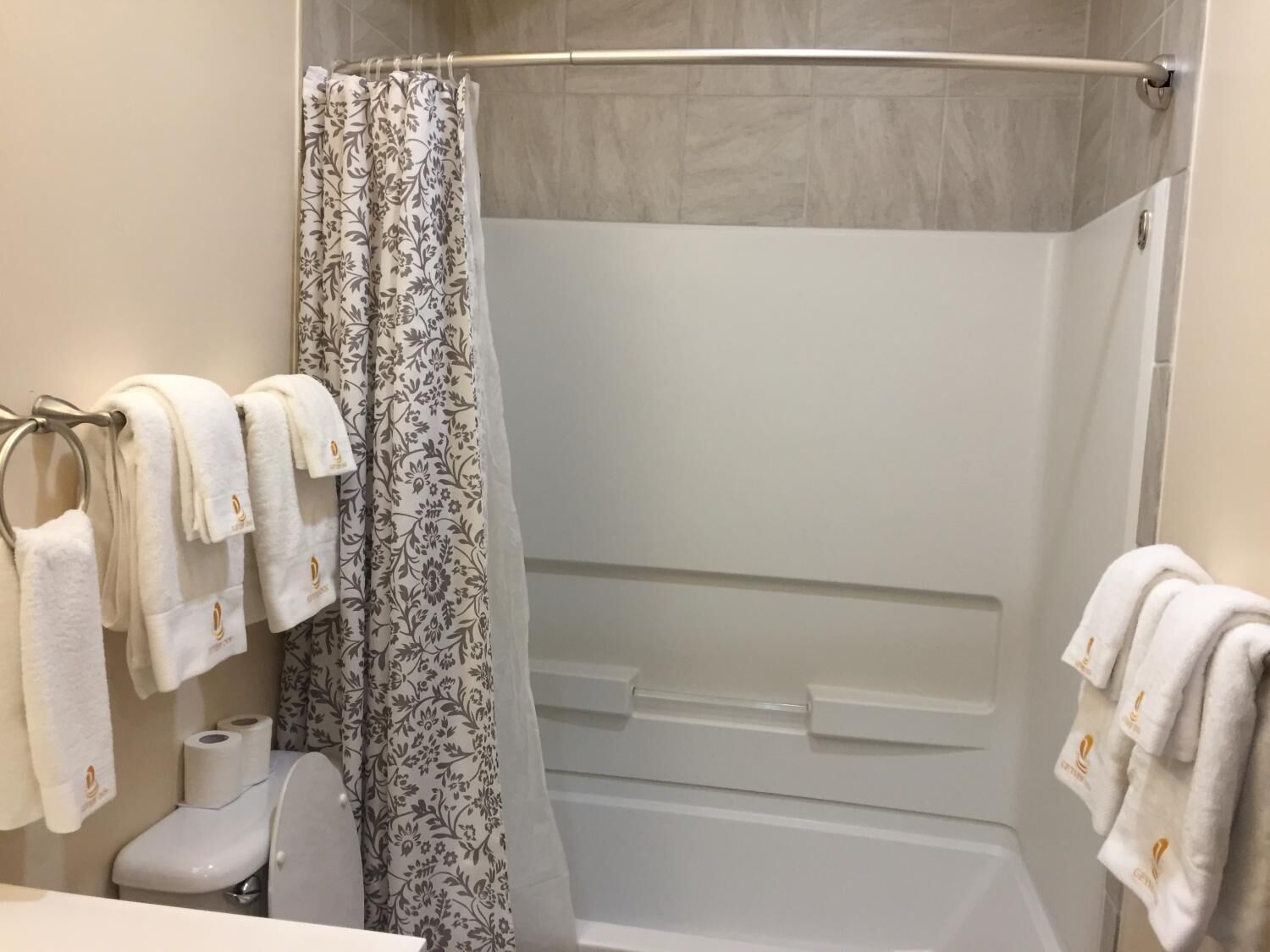 combined shower/bathtub, free toiletries, hair dryer, towels