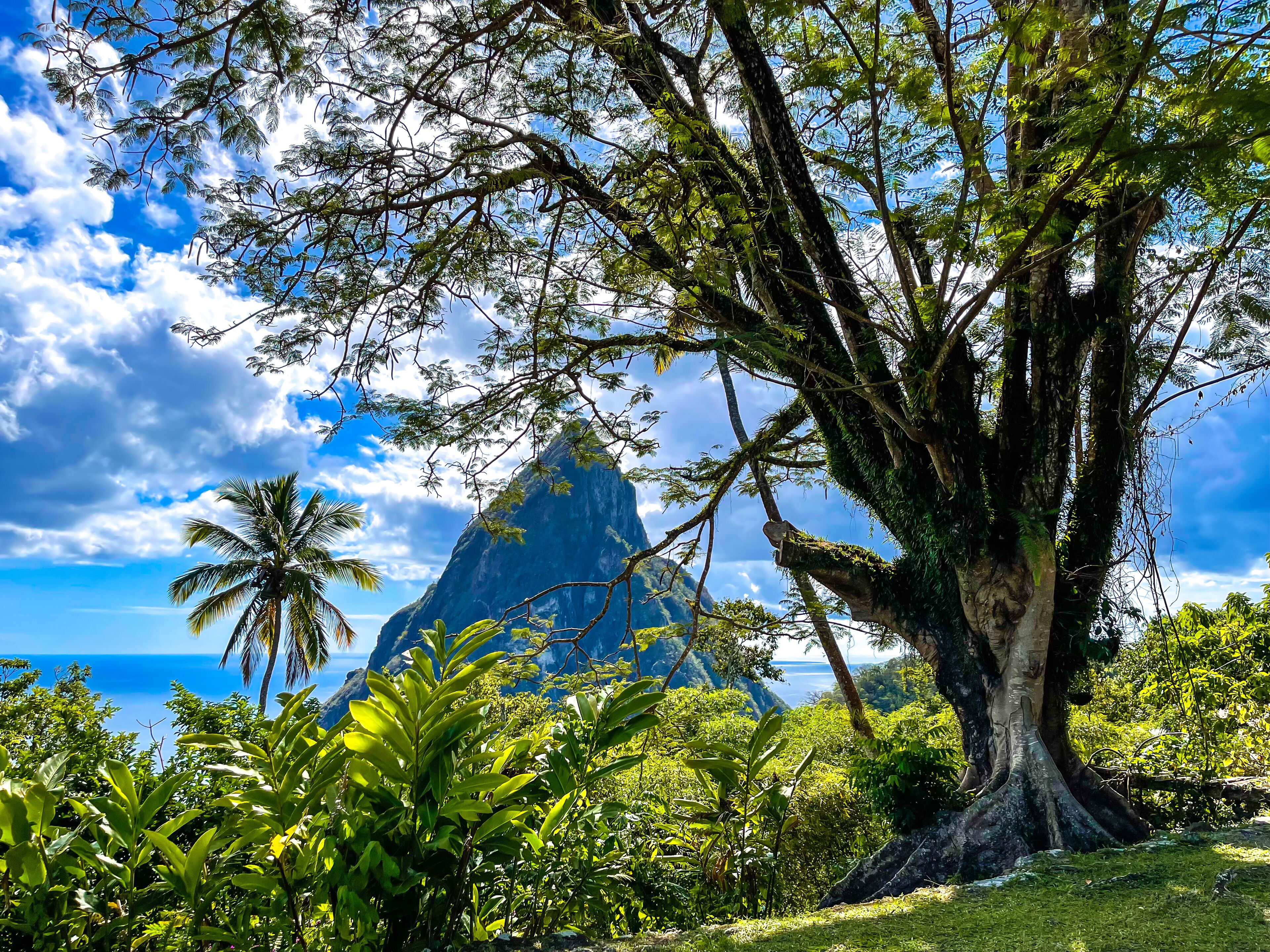 Foto - Hermitage Villa