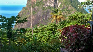 A pool with a view of a mountain and palm trees.