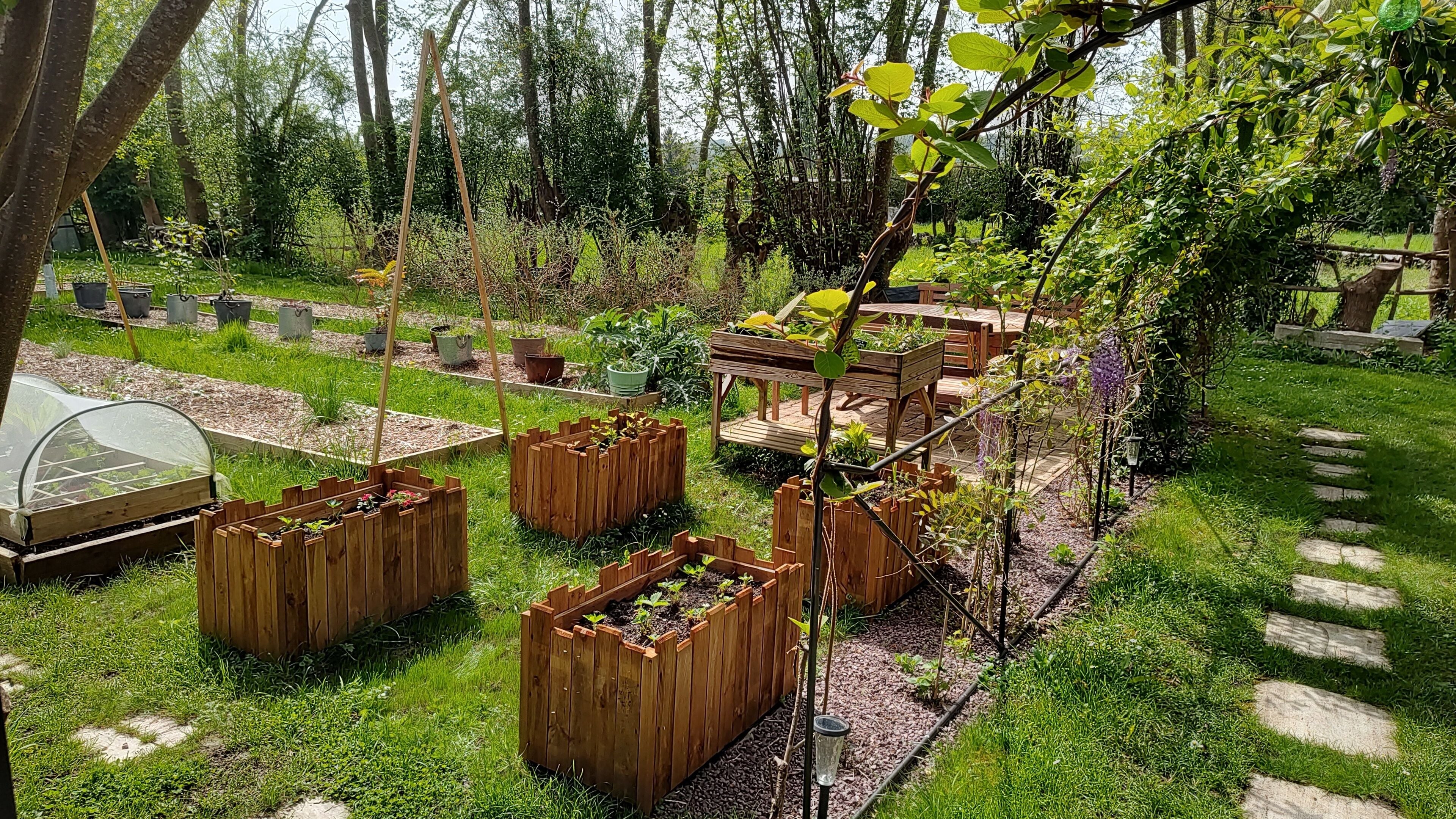 Garden