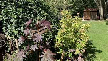 花園