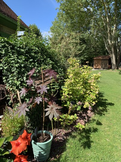 L'Orée de Giverny